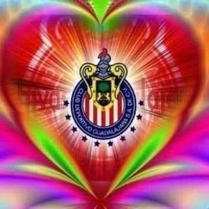 Meet your Posher, Luis